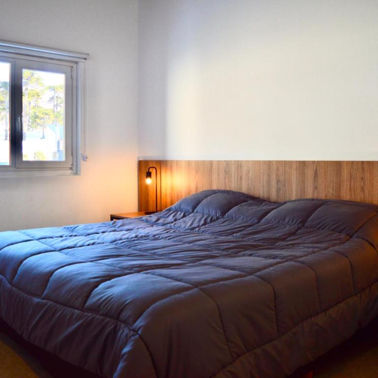 Villa Maihue departamentos de montaña - Caviahue - Apartamento de 1 dormitorio - 1
