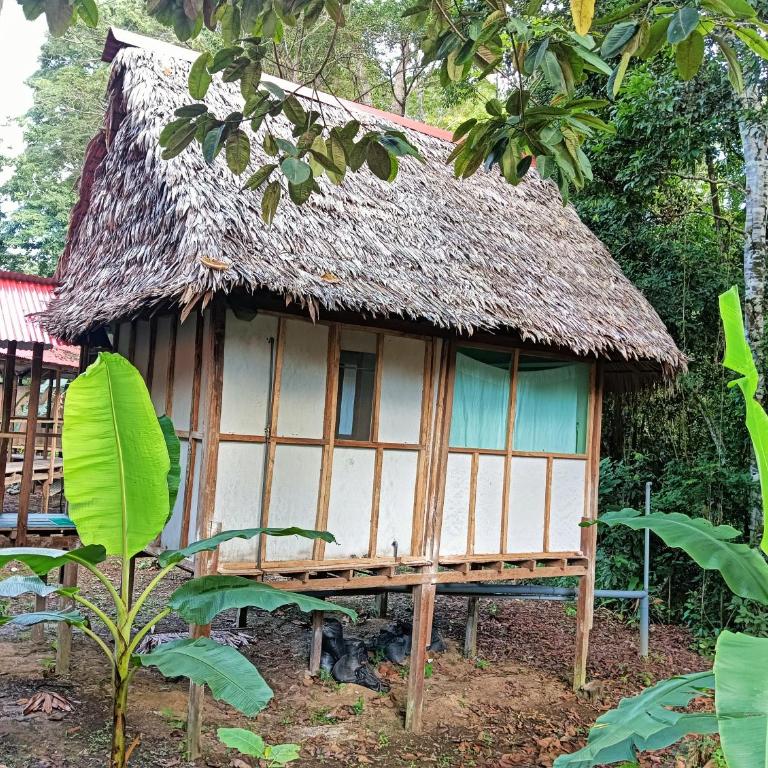 Allpayacu Lodge- Accomodation, Food & Jungle Tour Included - Bungalow de un dormitorio - 1