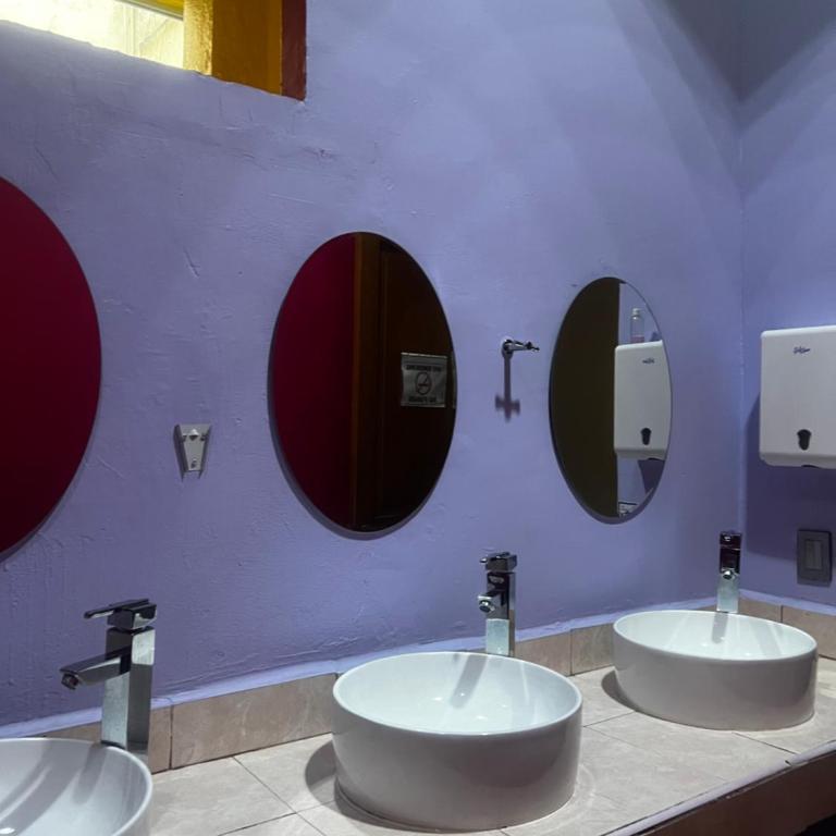 Hostal Amigo - Single Bed in Mixed Dormitory Room (4 Beds) - 18