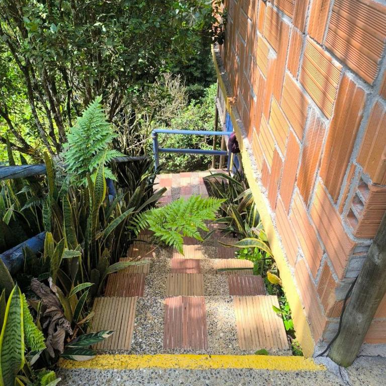 Montaña Sanadora - Habitación Familiar con vistas a la montaña - 17