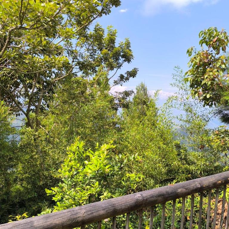 Montaña Sanadora - Habitación Familiar con vistas a la montaña - 13