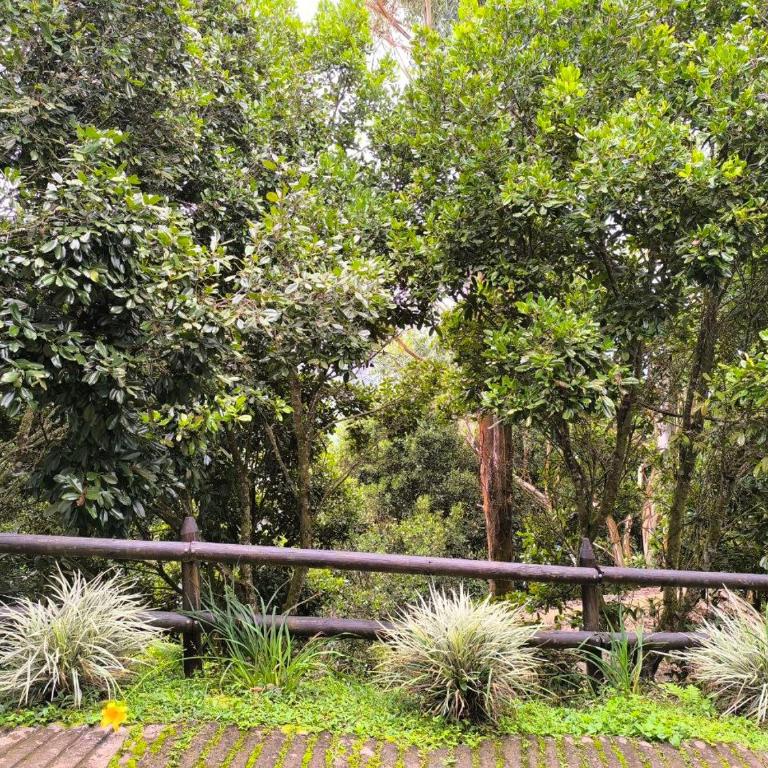 Montaña Sanadora - Habitación Compartida Mixta - 4 camas - 2