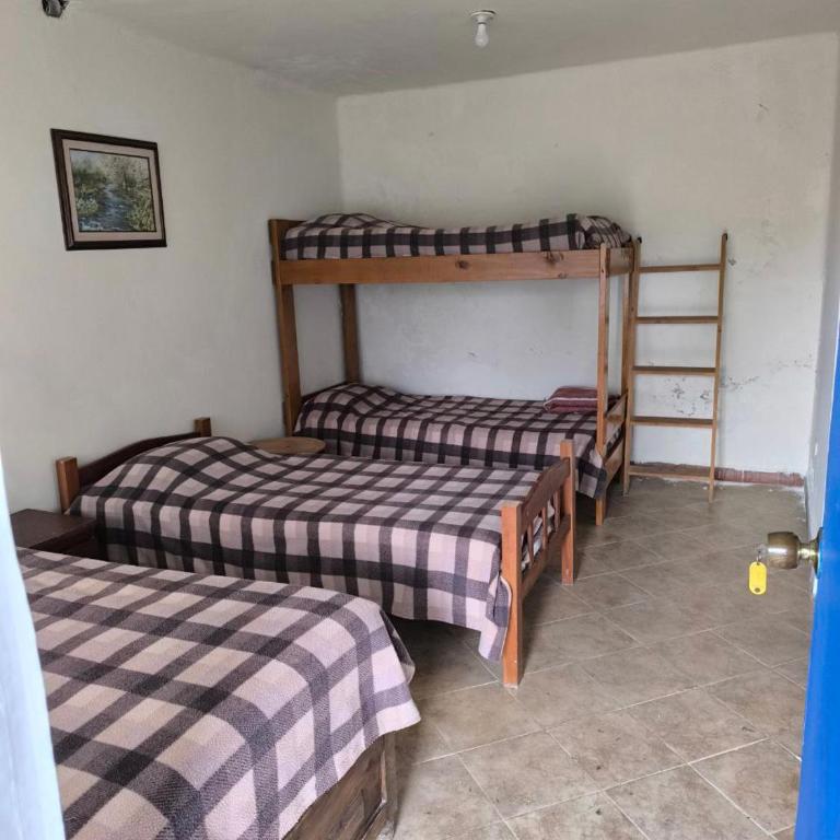 Montaña Sanadora - Habitación Compartida Mixta - 4 camas - 29