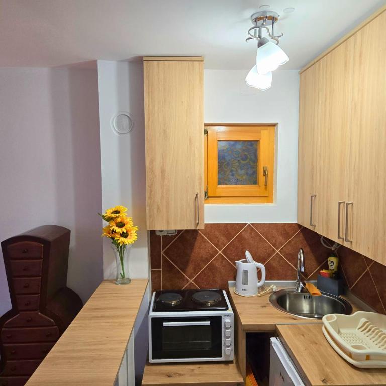 Airport Studio - Lucia - Apartman sa 1 Spavaćom Sobom - 9