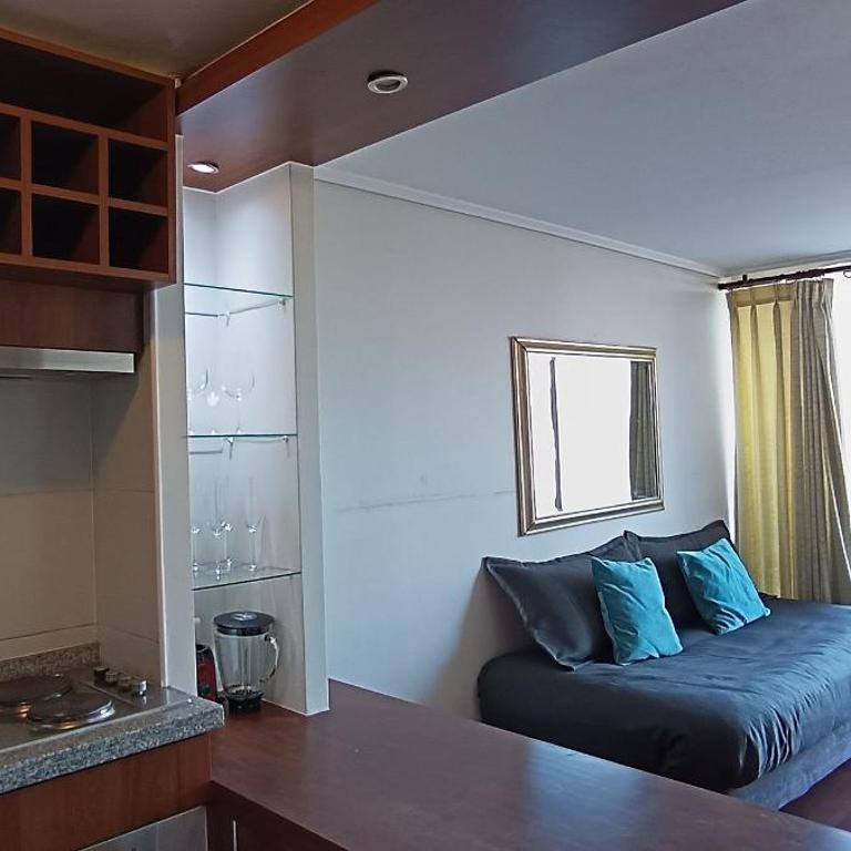 Apartamento Living Vicuña - Apartamento de 2 dormitorios - 20