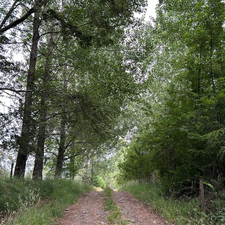 Campo, tranquilidad, relax y buenos paisajes - Three-Bedroom House - 7