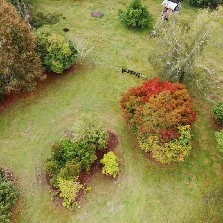 Campo, tranquilidad, relax y buenos paisajes - Three-Bedroom House - 8