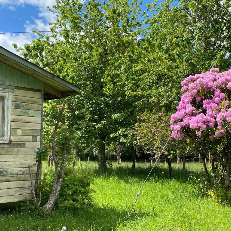 Campo, tranquilidad, relax y buenos paisajes - Three-Bedroom House - 5
