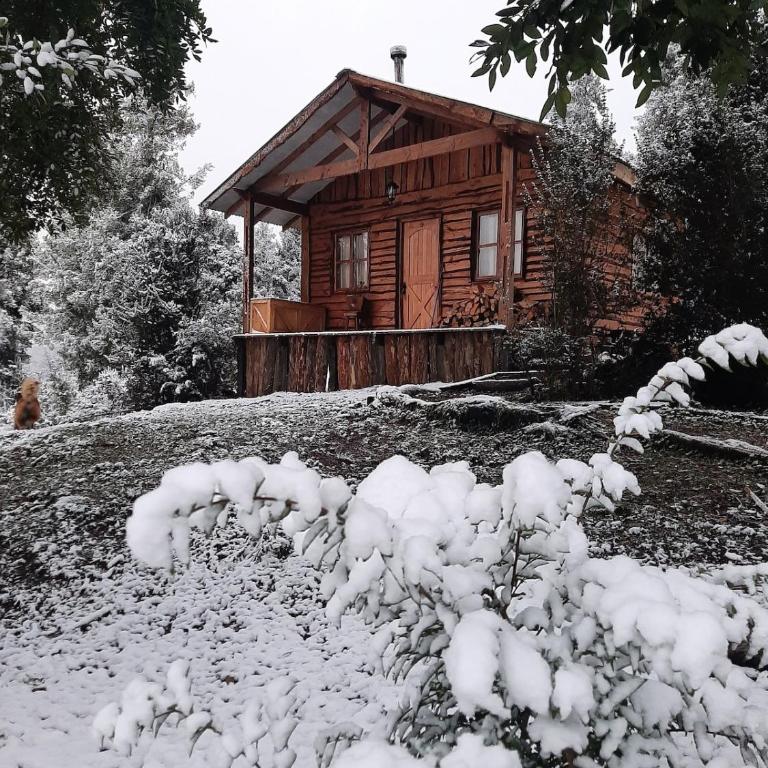 Cabaña en Puerto Aysén - One-Bedroom House - 1