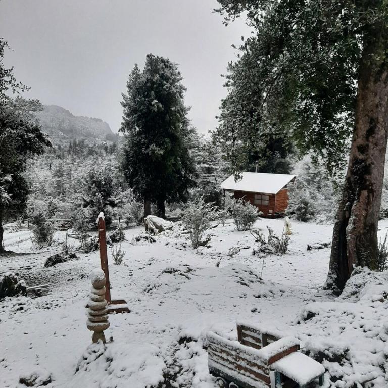 Cabaña en Puerto Aysén - One-Bedroom House - 10