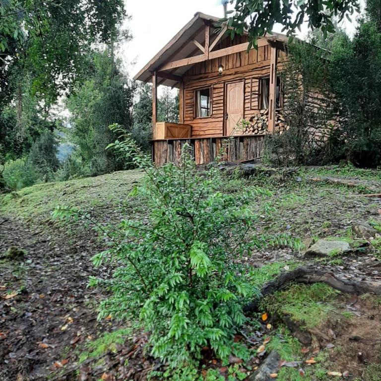 Cabaña en Puerto Aysén - One-Bedroom House - 11