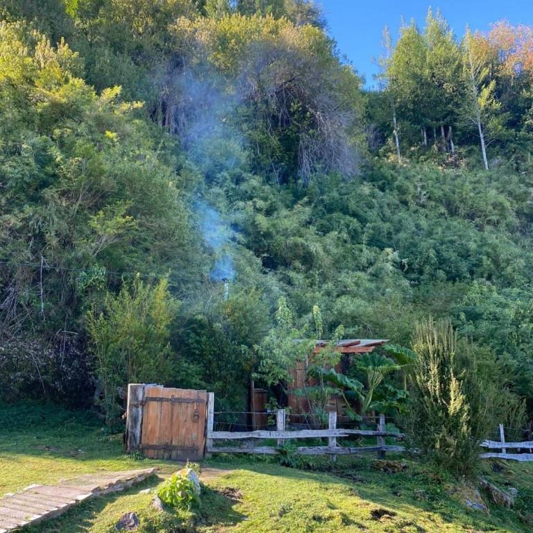 Cabaña en Puerto Aysén - One-Bedroom House - 14