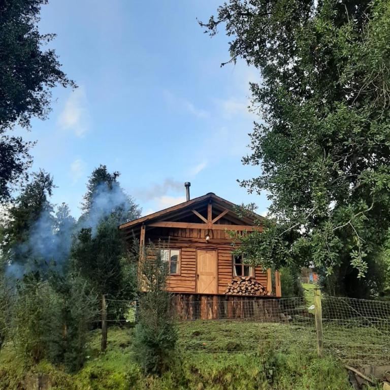 Cabaña en Puerto Aysén - One-Bedroom House - 18