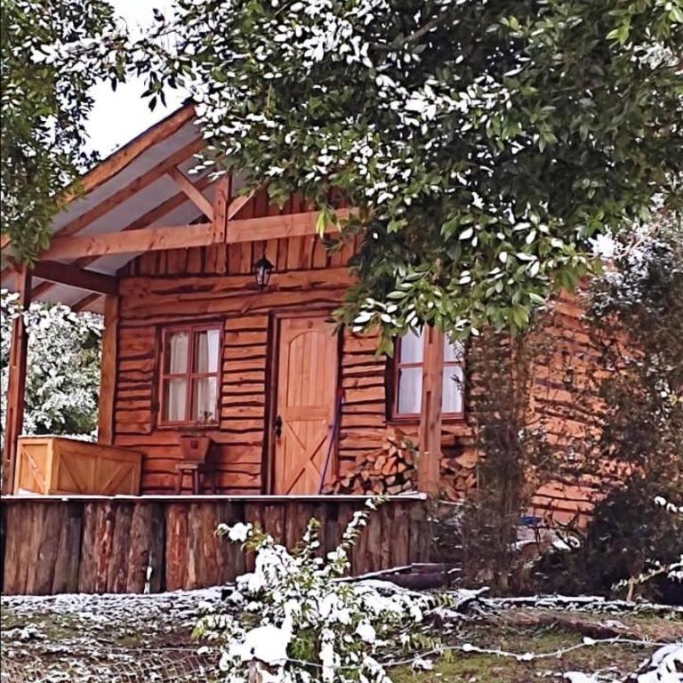 Cabaña en Puerto Aysén - One-Bedroom House - 20