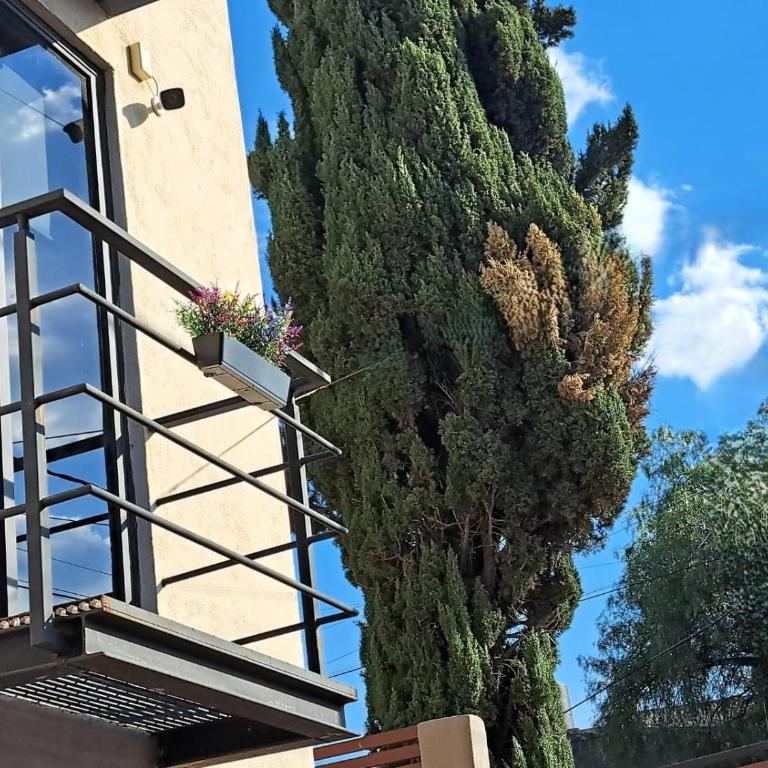 R08 MID STUDIO at ITESM CEM Full Services, Shared-Kitchen, Fridge ,Laundry, Smart TV, Parking, Balcony - Habitación Doble con baño privado - 13
