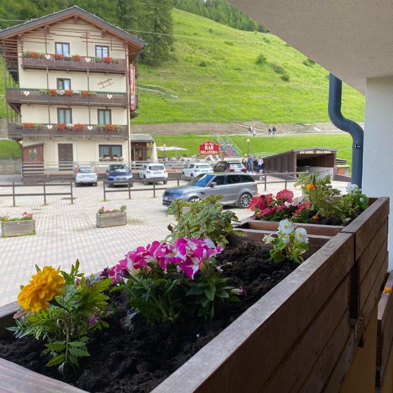 la finestra sulla montagna - One-Bedroom Apartment - 45