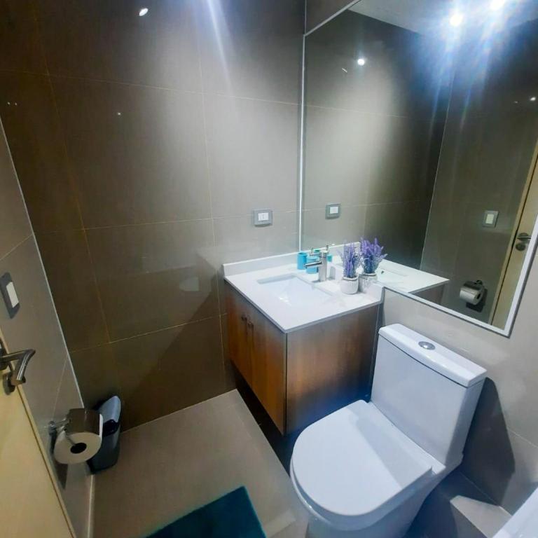 Acogedor Departamento en el Centro de Chillán - Apartamento de 1 dormitorio - 3