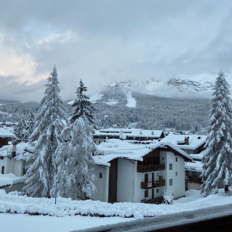 Cortina Center Design Apartment with Private Parking - Appartamento con 2 Camere da Letto - 3