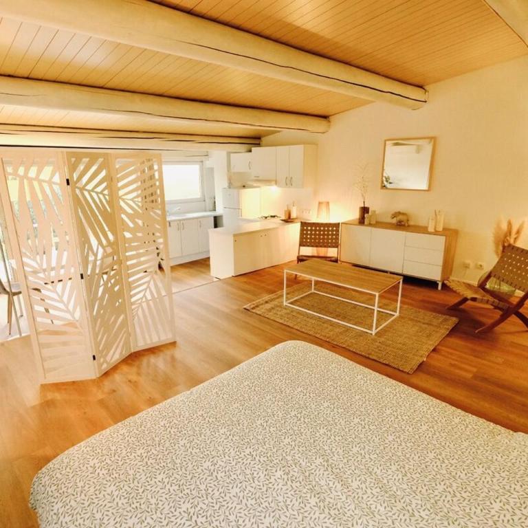 L'Observateur - Studio with Terrace - 5
