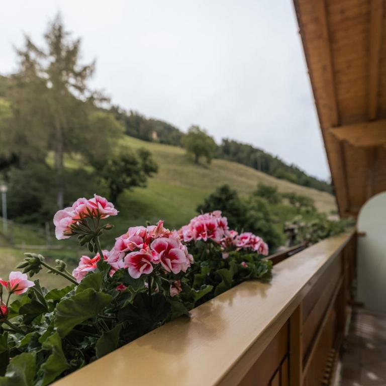Hotel Garni Alpes - Camera Singola con Balcone - 2