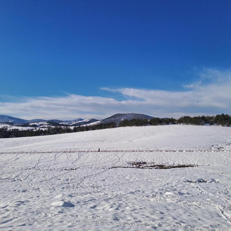 Moj Horizont - Apartman sa 1 Spavaćom Sobom - 19