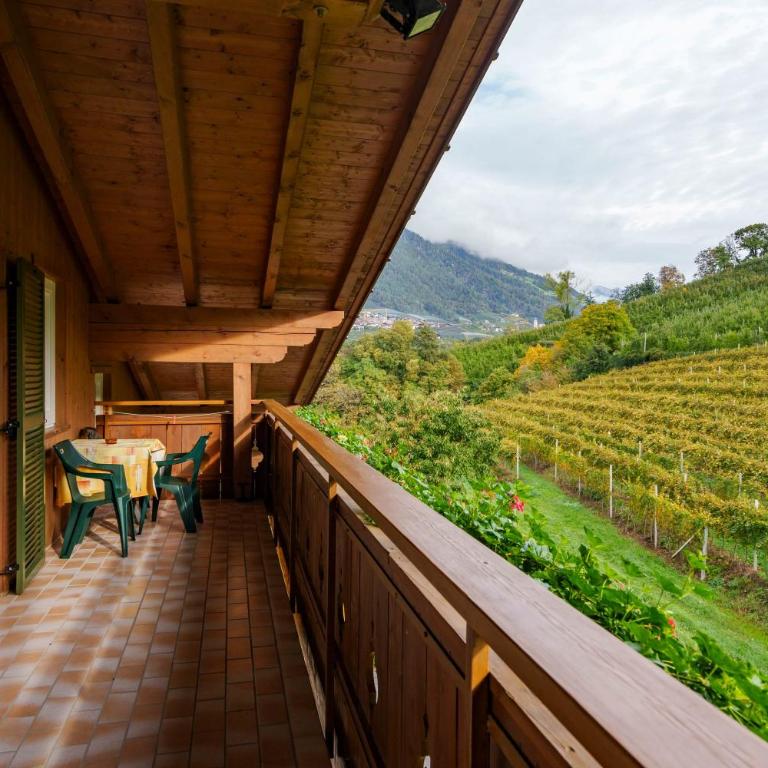 Petaunerhof - Appartamento con Balcone - 1