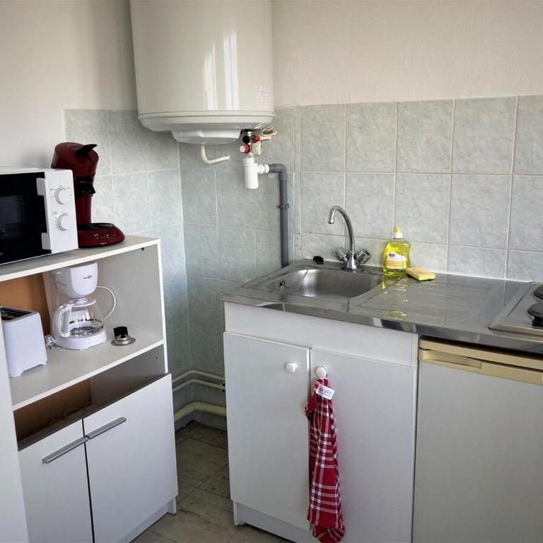 Appartement double à Limoges - Appartement 1 Chambre - 8