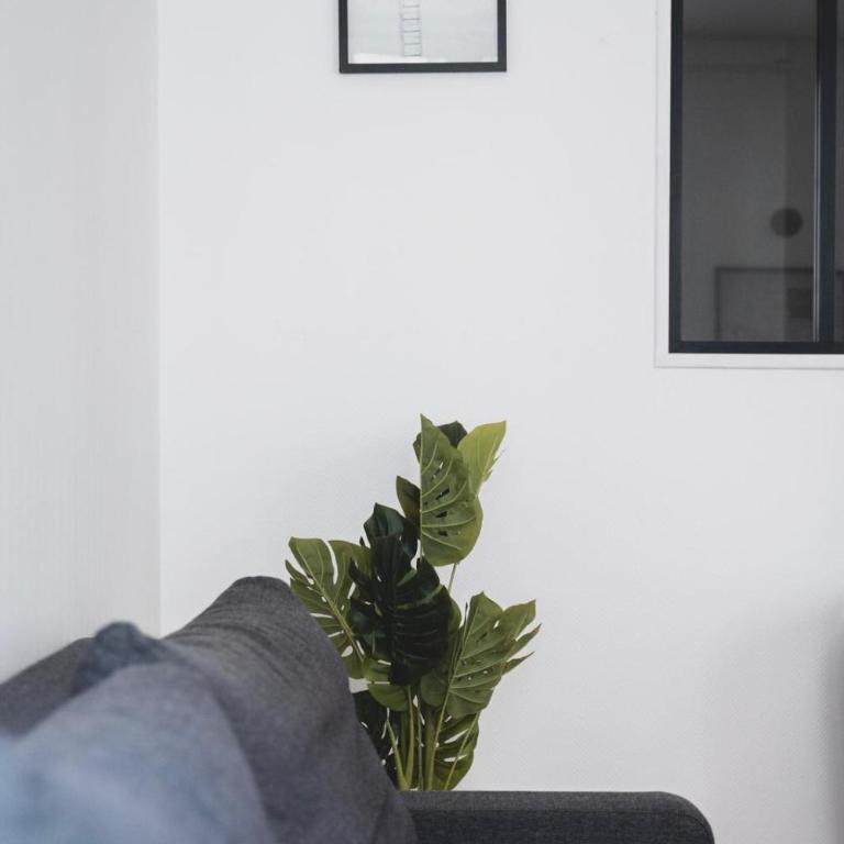 Le Dom Place Stanislas appartement tout équipé pour 4 personnes - Appartement - 16