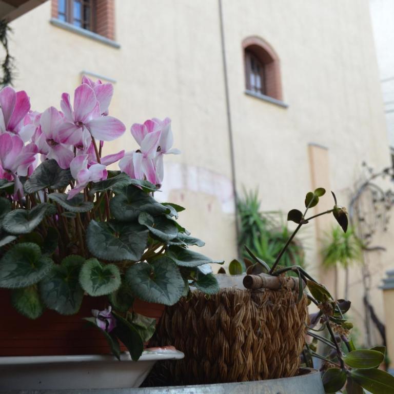 Agriturismo del Pigato - Bio Vio - Appartamento Attico - 1