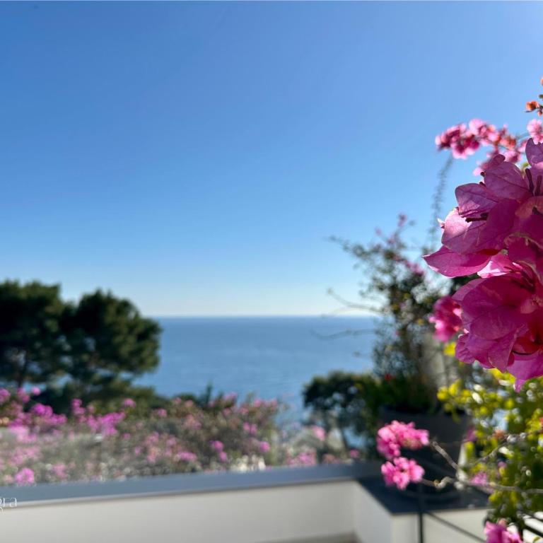 Villa Allegra - Villa with Sea View - 51