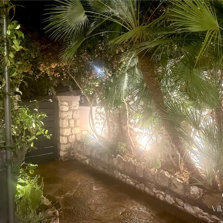 Villa Allegra - Villa with Sea View - 12