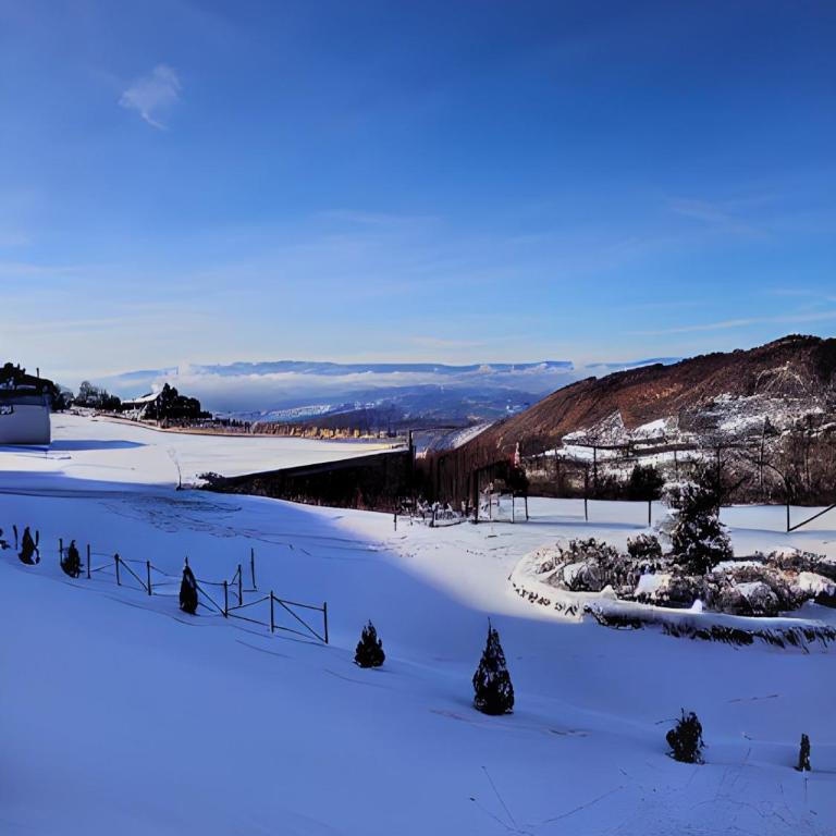 Milmari P39 Kopaonik - Apartment with Mountain View - 24
