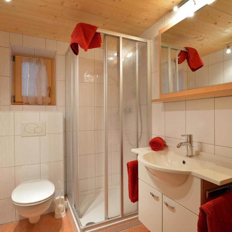 Alm-Appartement - Fam. Niedermühlbichler - Apartment mit Dusche - 5