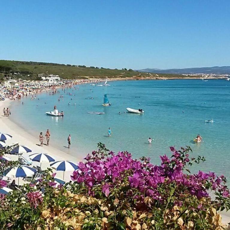 Brand new flat near Alghero beach - Apartment - 29
