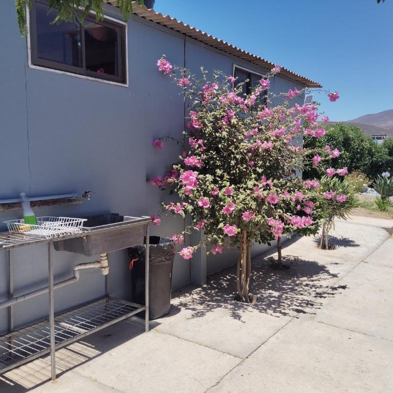 Casona familiar ,Rosario valle del elqui - Casa de 6 dormitorios - 59