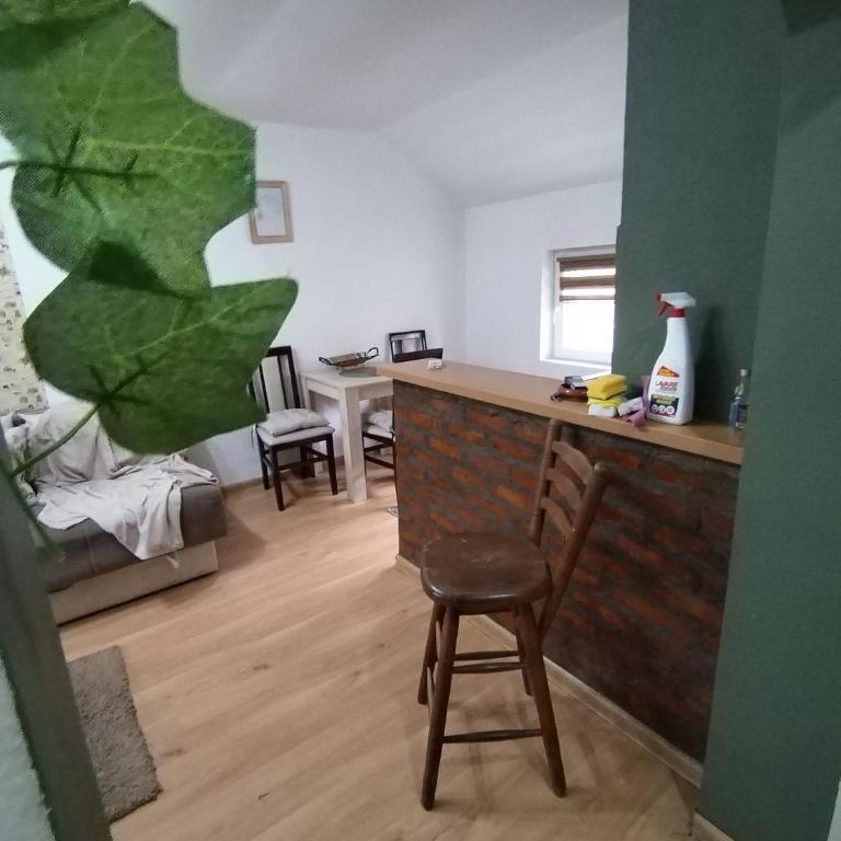 STEFAN - Apartman sa 1 Spavaćom Sobom - 22