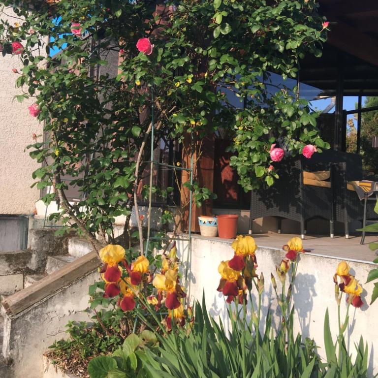 La Colombe - Apartment - 6