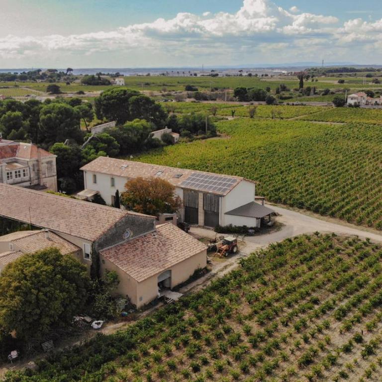 Maison Stony - Gîtes & Vignoble - Maison de Vacances 4 Chambres - 29