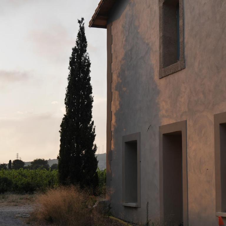 Maison Stony - Gîtes & Vignoble - Maison de Vacances 4 Chambres - 32