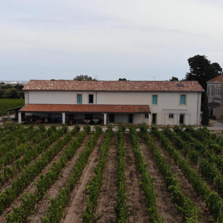 Maison Stony - Gîtes & Vignoble - Maison de Vacances 4 Chambres - 33