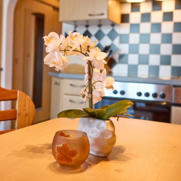 Haus Miller - Apartment mit 1 Schlafzimmer und Aussicht - 28