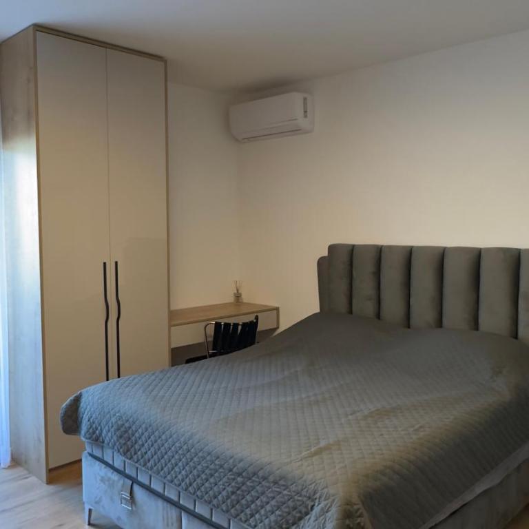 Luxury Home - One-Bedroom Apartment - 3