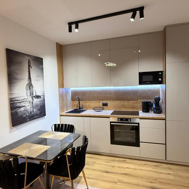 Luxury Home - One-Bedroom Apartment - 7