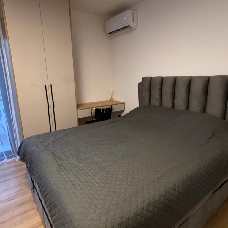 Luxury Home - One-Bedroom Apartment - 11