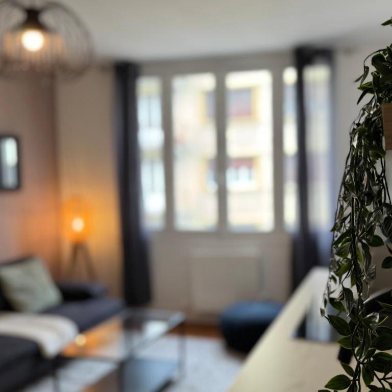 Le Charme de Champagne - 3 chambres & Wifi & Proche centre - Appartement - 6