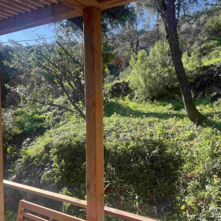 Le nid de l'oliveraie - Chalet 1 Chambre - 4