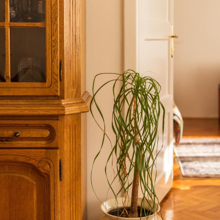 Spacious Parkfront Residence - Deluks Apartman sa 2 Spavaće Sobe i Balkonom - 26
