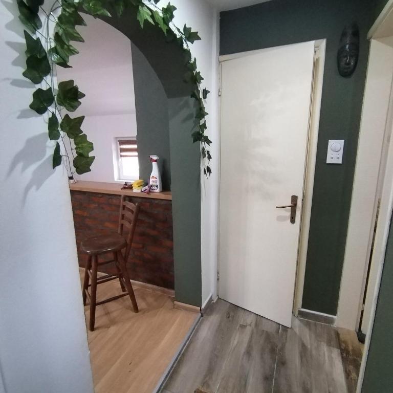 STEFAN - Apartman sa 1 Spavaćom Sobom - 28