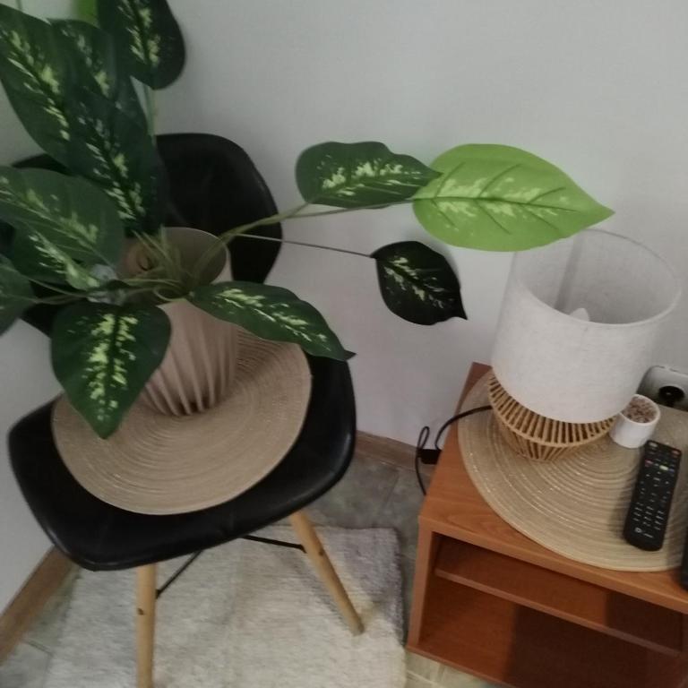 STEFAN - Apartman sa 1 Spavaćom Sobom - 36