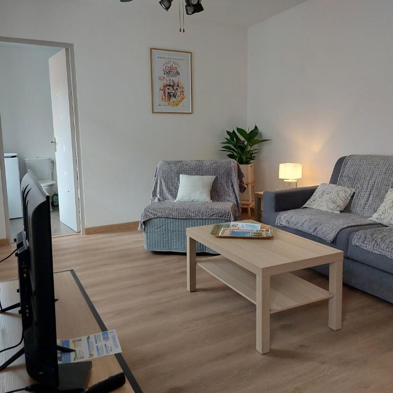 Studio du Château - Axelle Loc'Appart - Apartment mit 1 Schlafzimmer - 10
